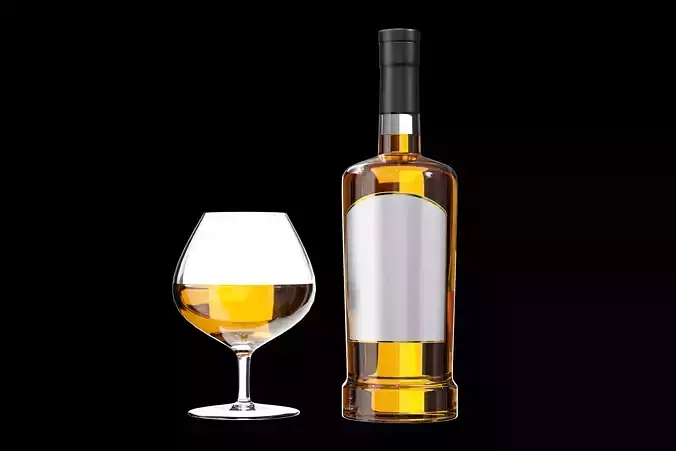 Gin Bottle with Glass 