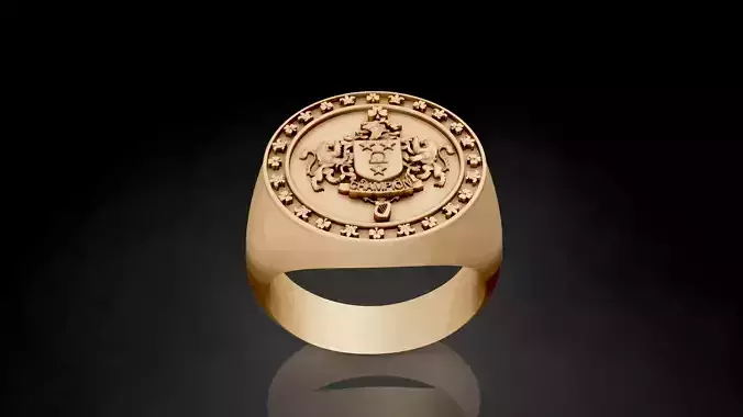 Signet Lux Ring 3D print model