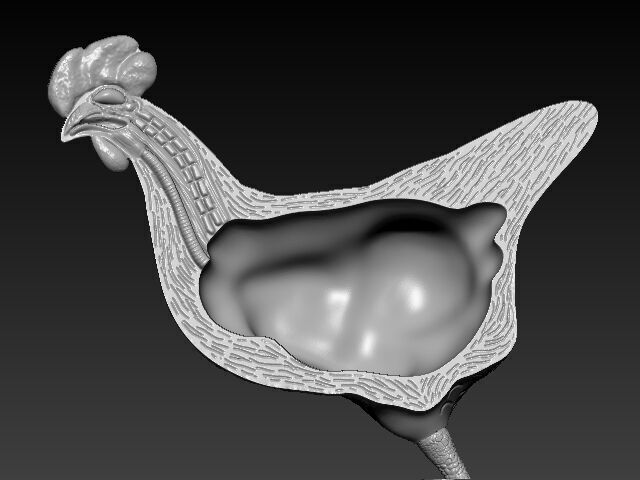 Chicken Anatomy 3D print model_2
