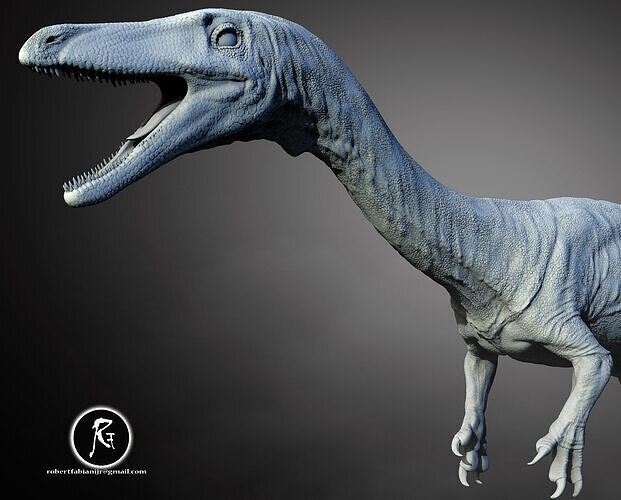 Coelophysis bauri The Swift Shadow of the Triassic Low-poly 3D print model