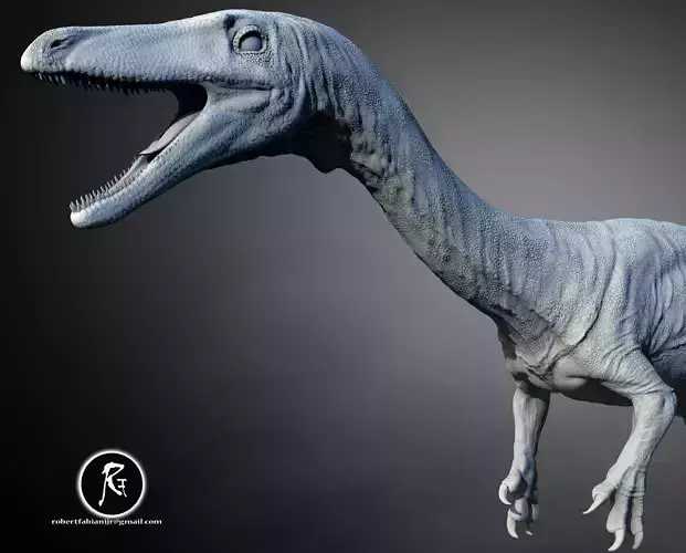 Coelophysis bauri The Swift Shadow of the Triassic