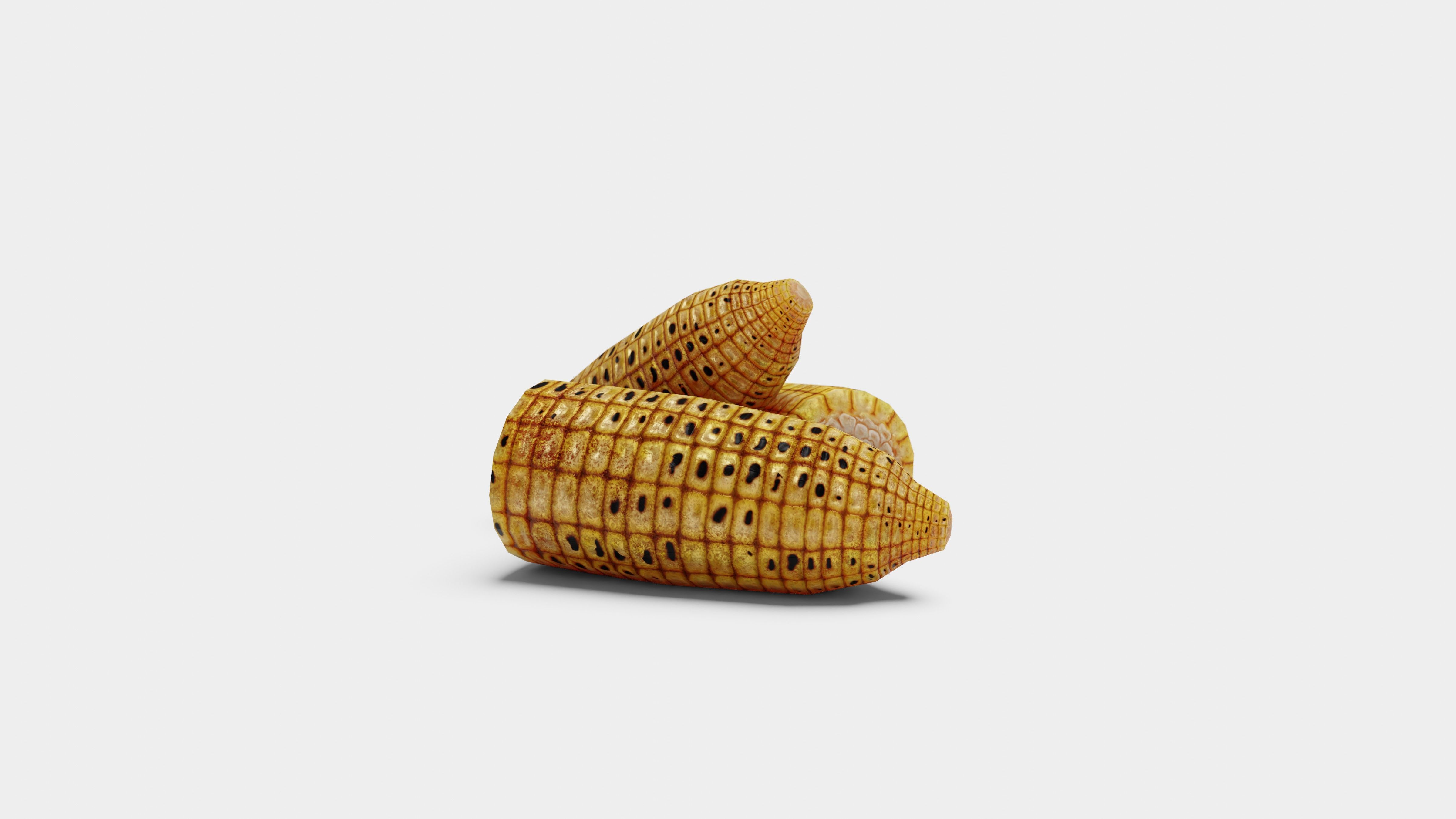 Grilled Corn - Game Ready Low Poly VR AR Games Low-poly 3D model_1