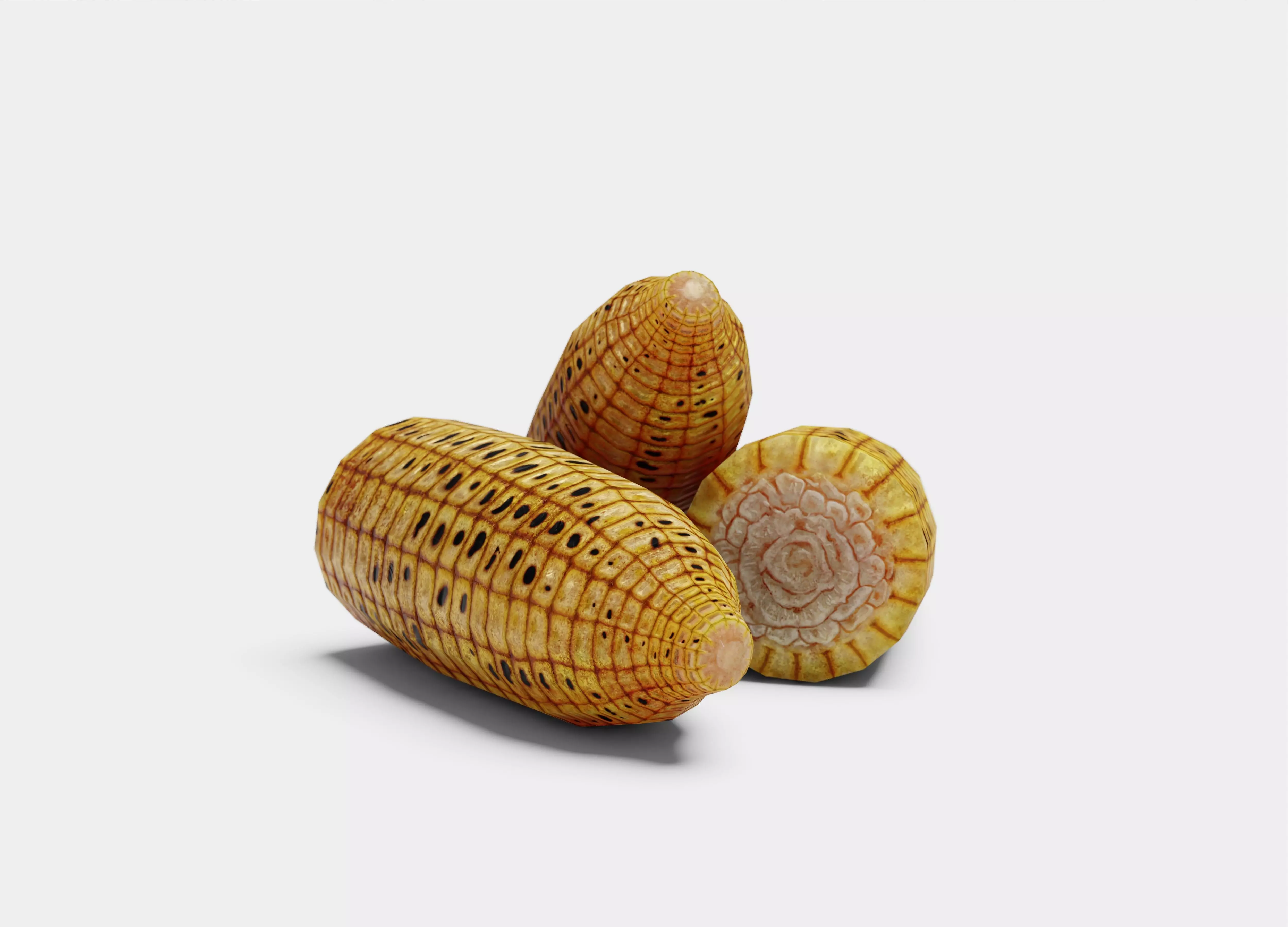 Grilled Corn - Game Ready Low Poly VR AR Games Low-poly 3D model_0