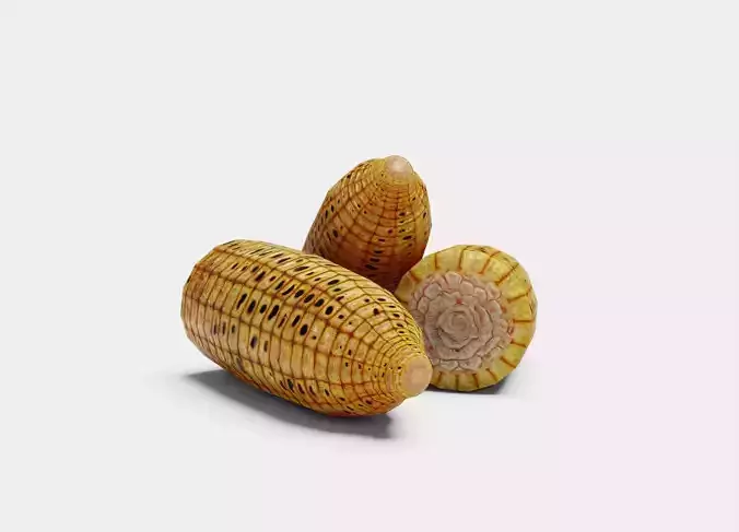 Grilled Corn - Game Ready Low Poly VR AR Games Low-poly 3D model
