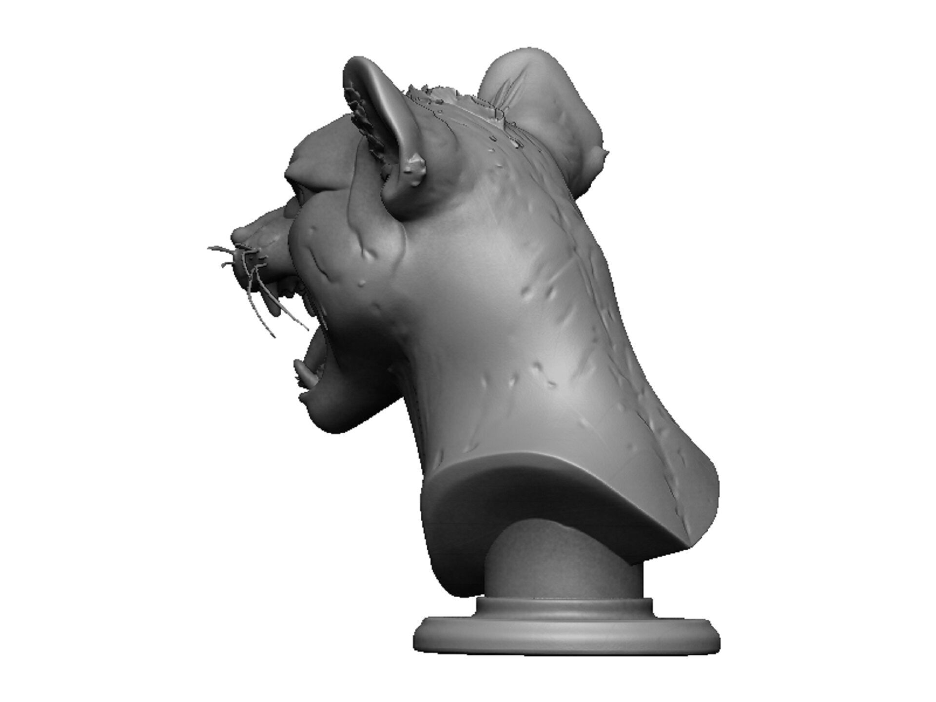 cheetah head bust 3D print model_5