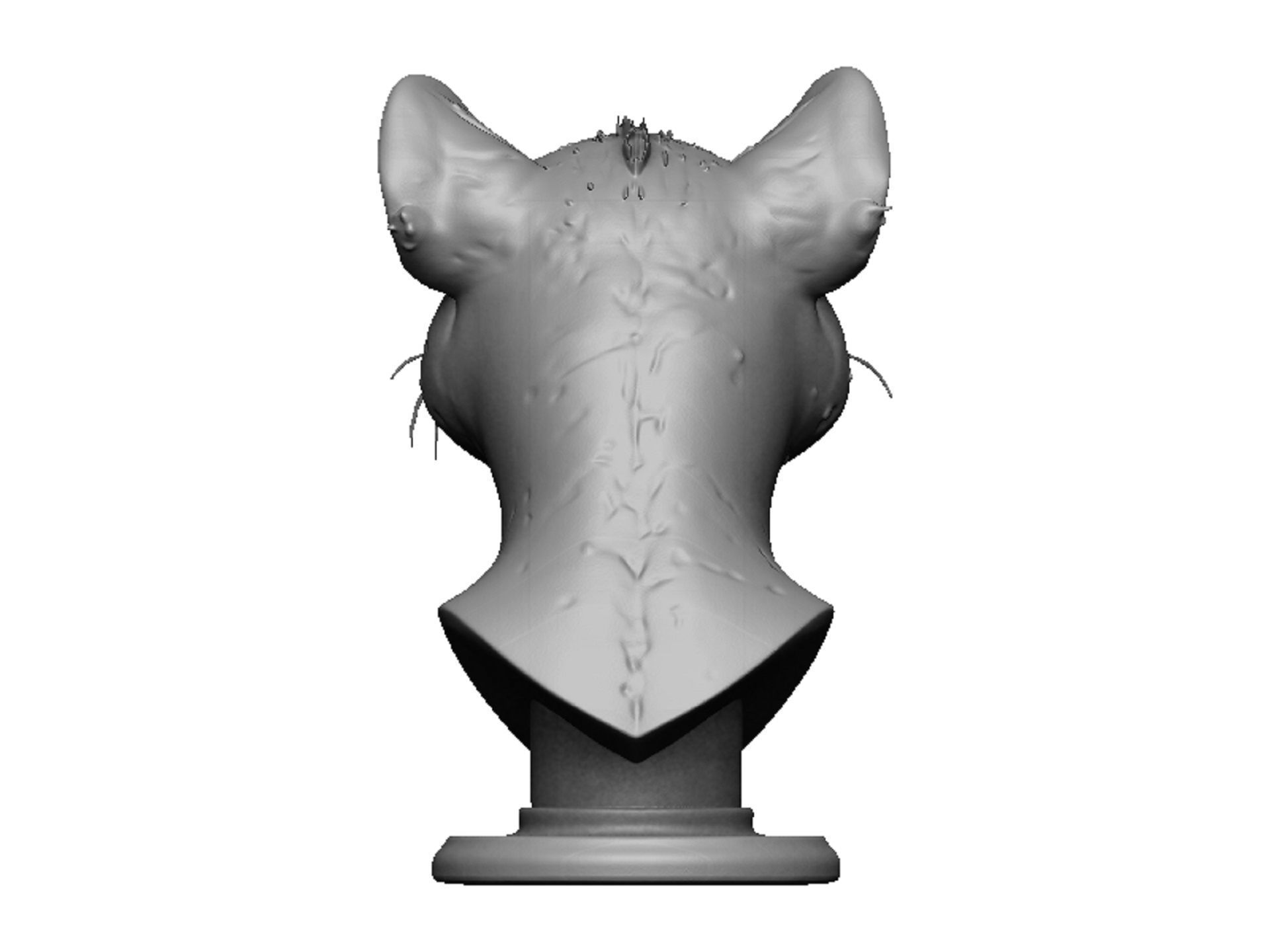 cheetah head bust 3D print model_4