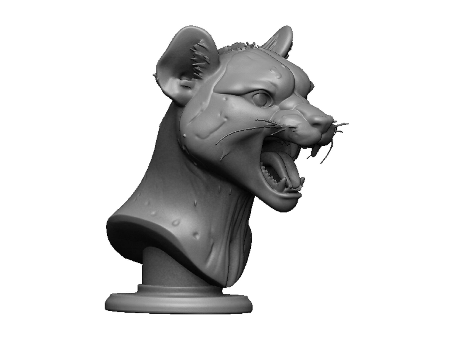cheetah head bust 3D print model_1