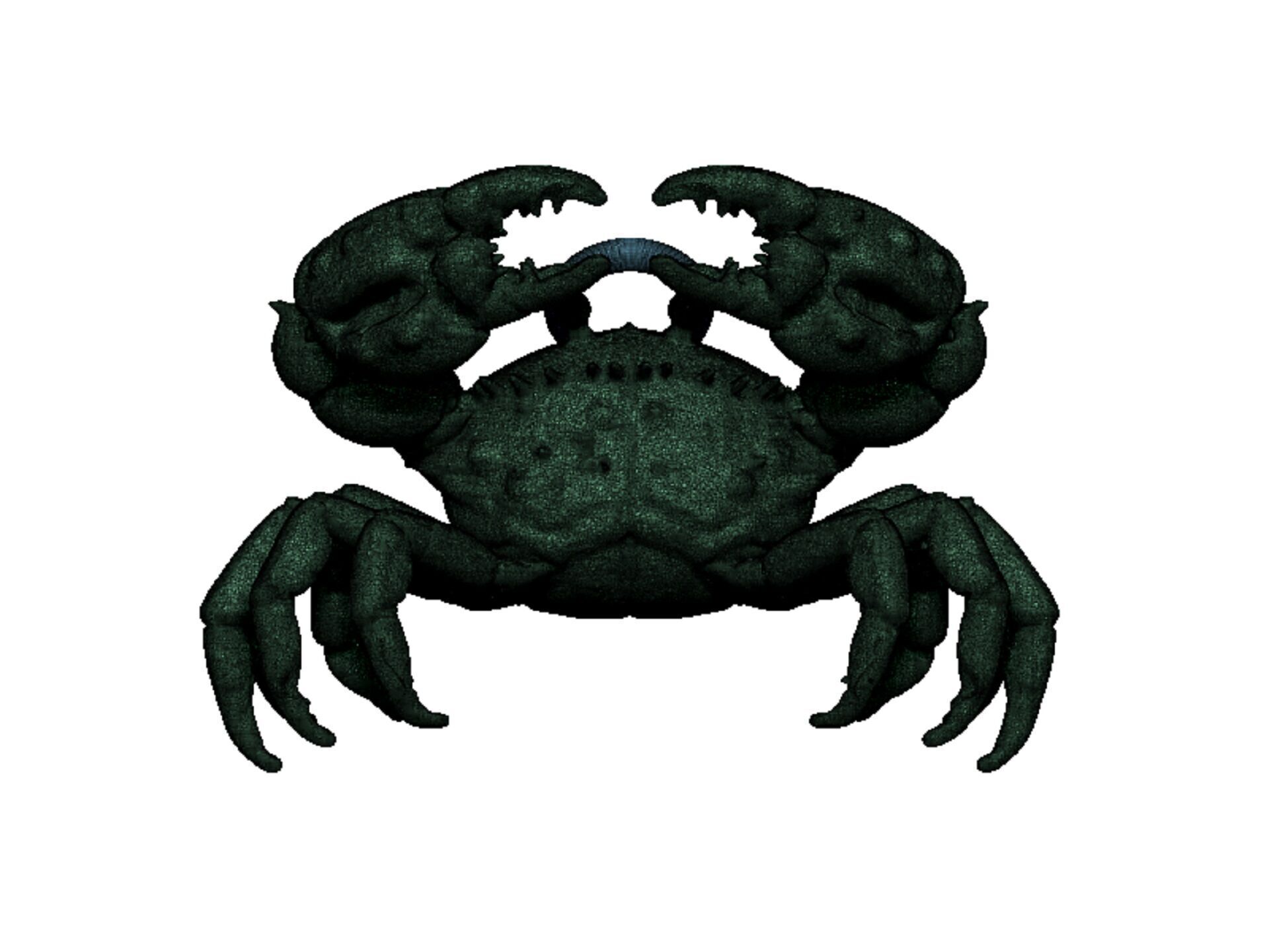 crab pendant 3D print model_11