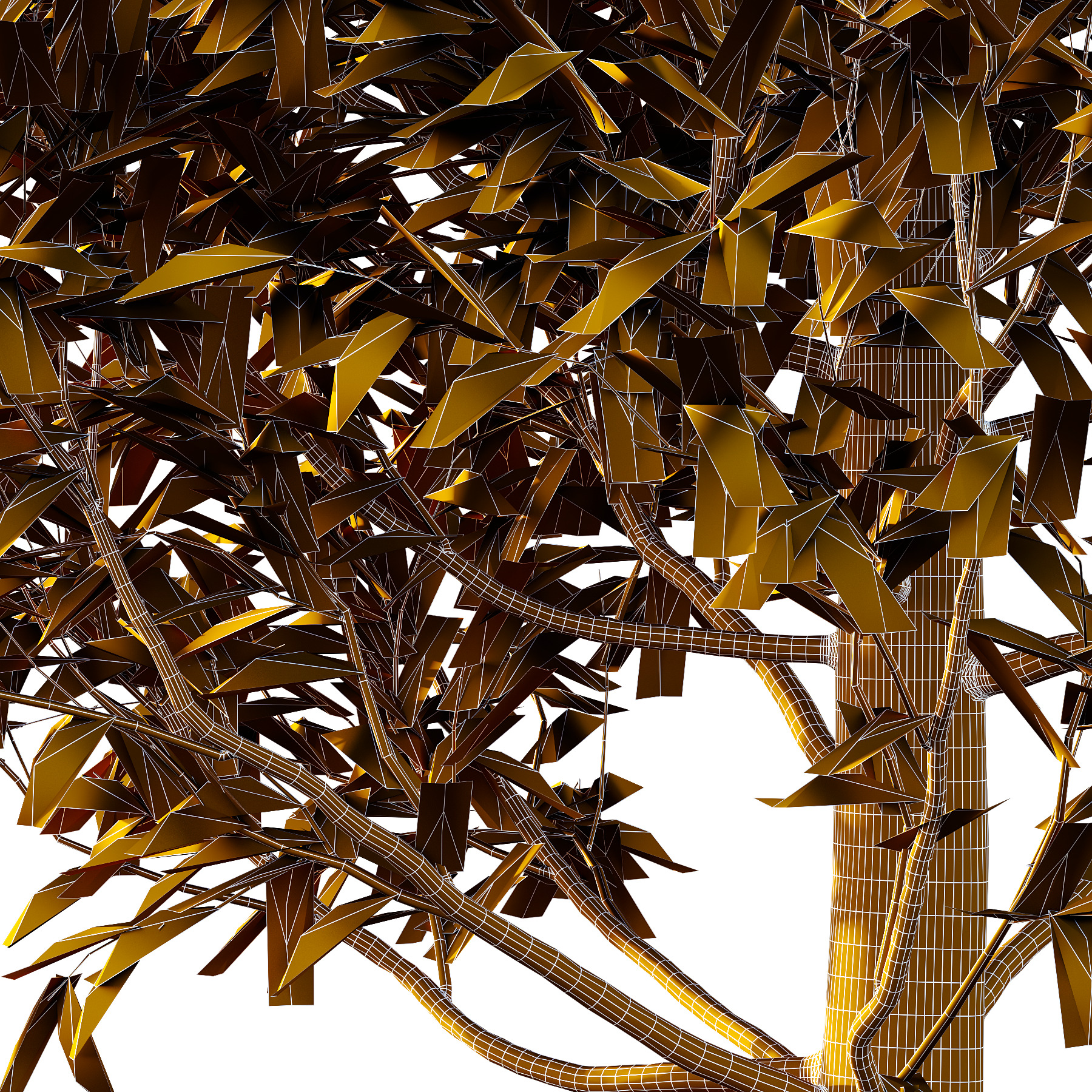 Fagus Grandifolia Tree 01 3D model_3