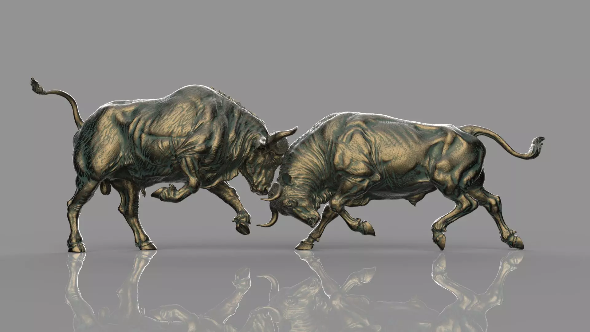 Bull Fight 3D model_0