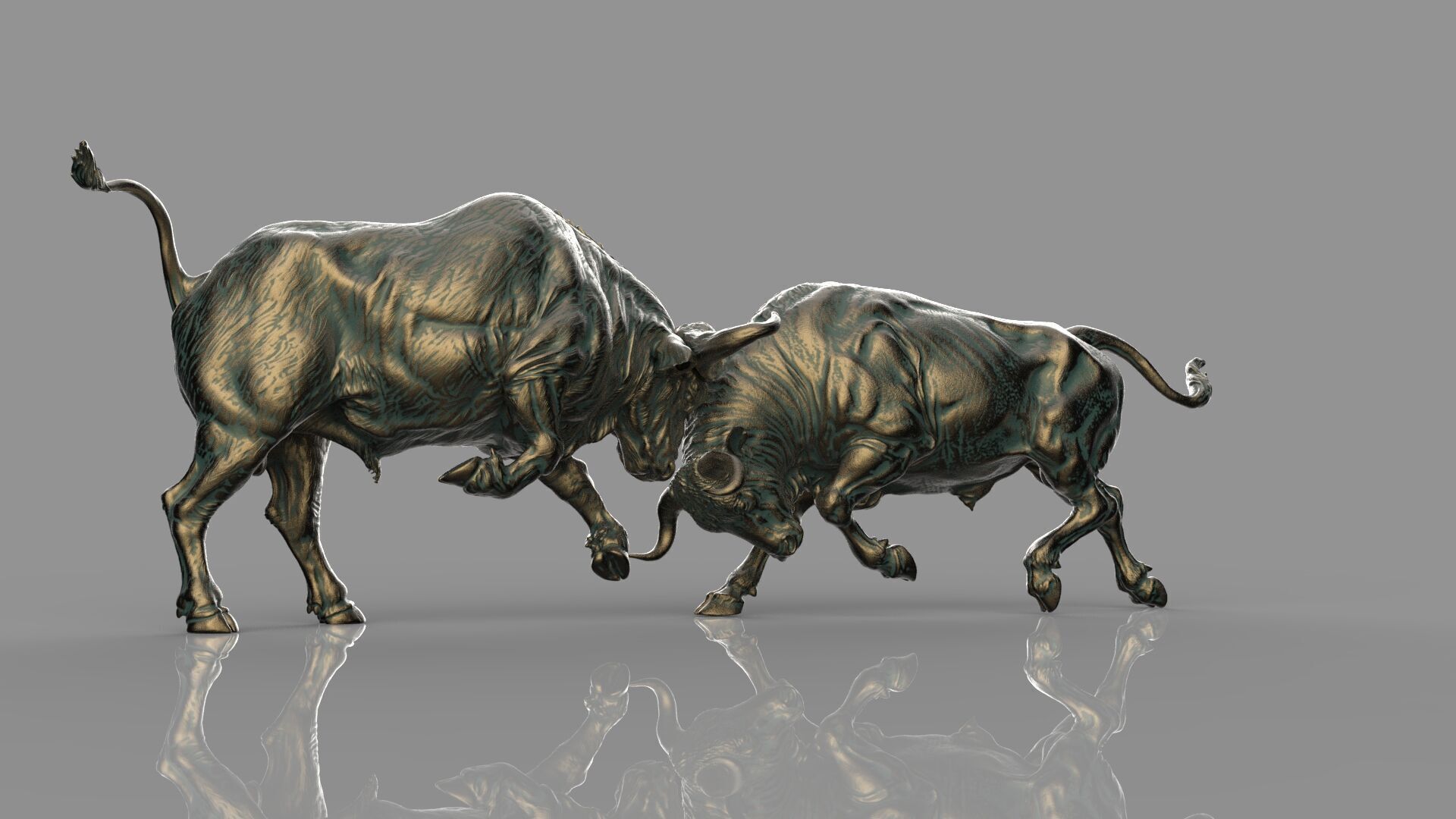 Bull Fight 3D model_6