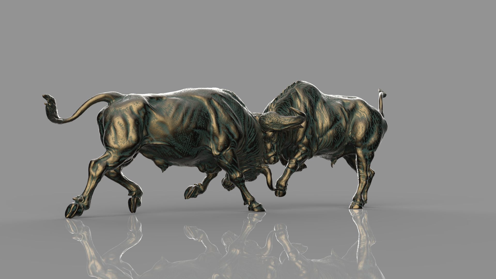 Bull Fight 3D model_13