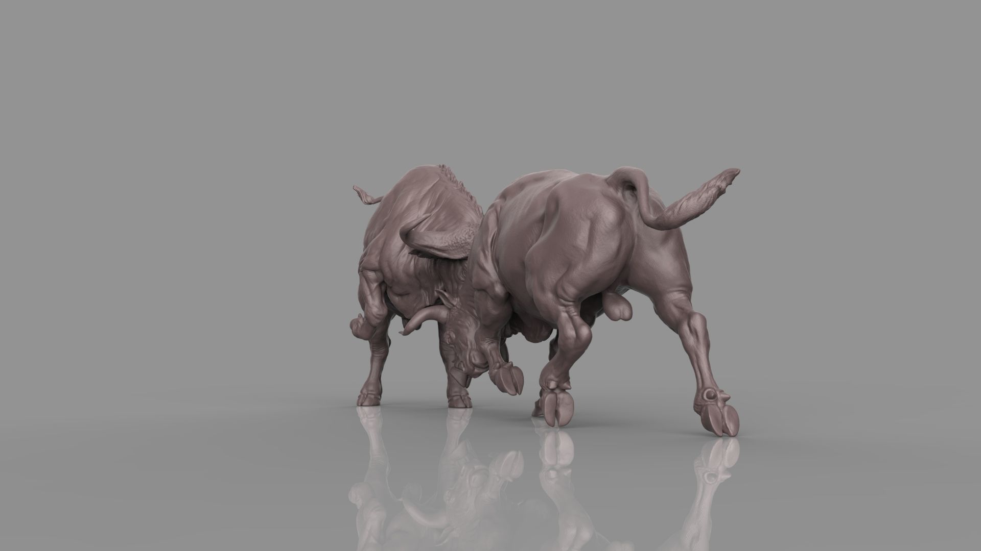 Bull Fight 3D model_27