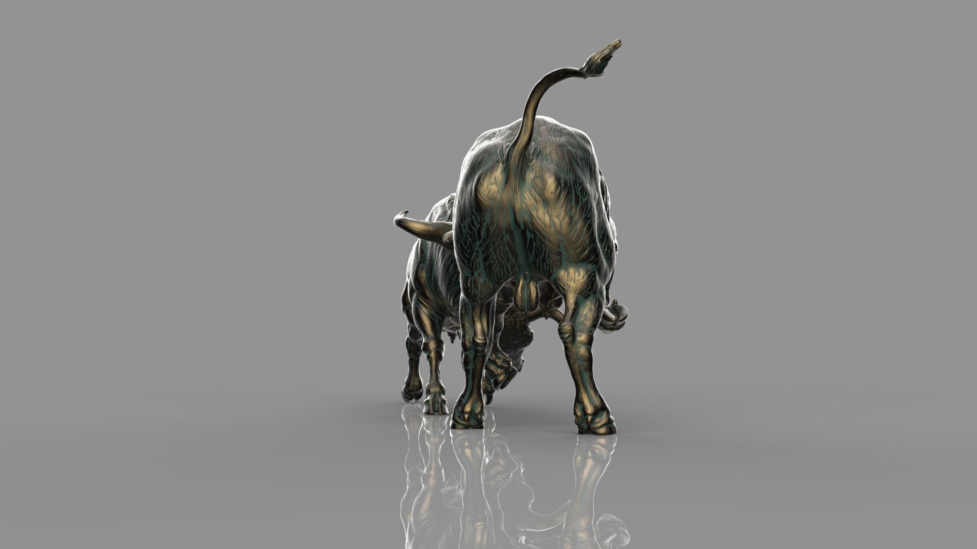 Bull Fight 3D model_3