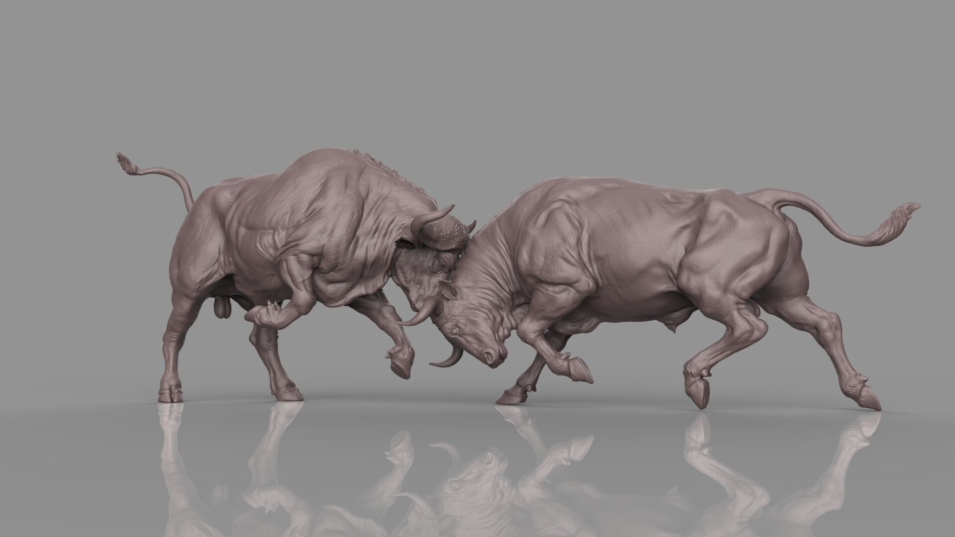 Bull Fight 3D model_25
