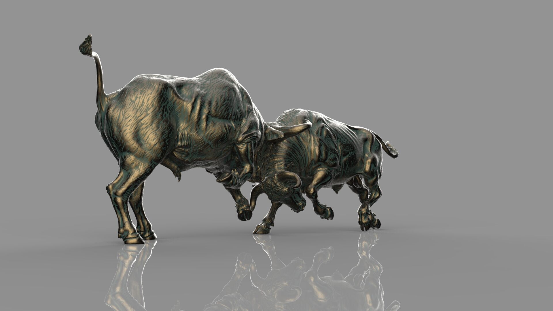 Bull Fight 3D model_5