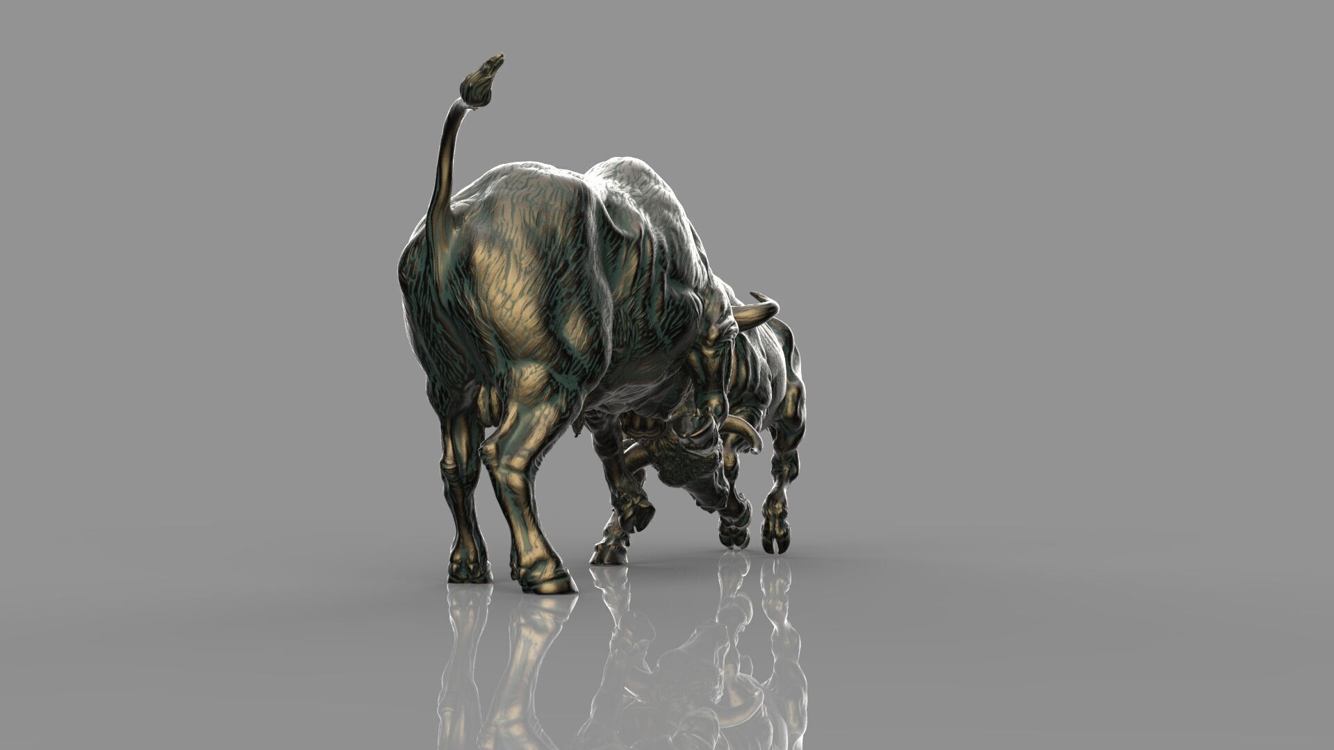 Bull Fight 3D model_4