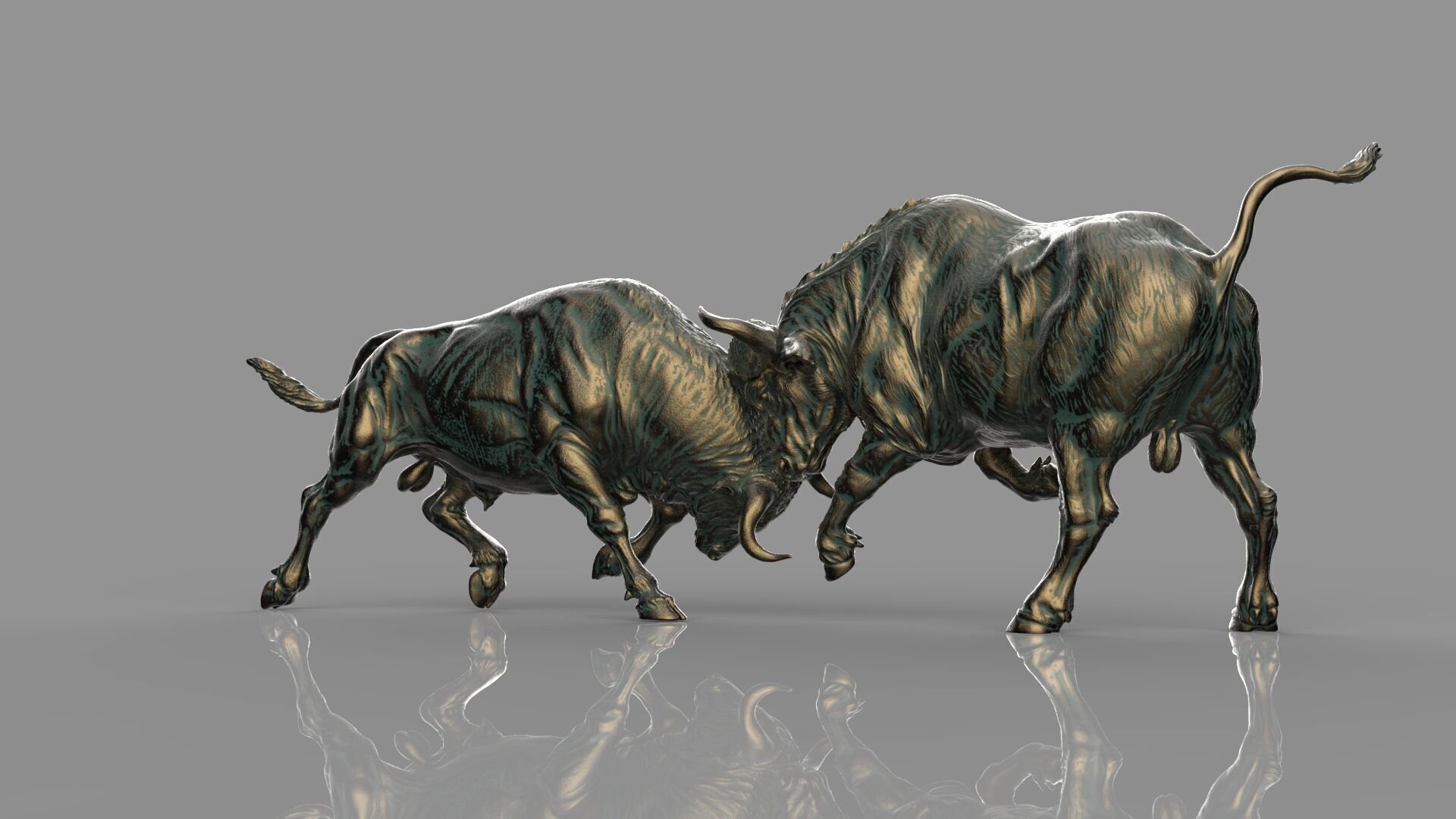 Bull Fight 3D model_1