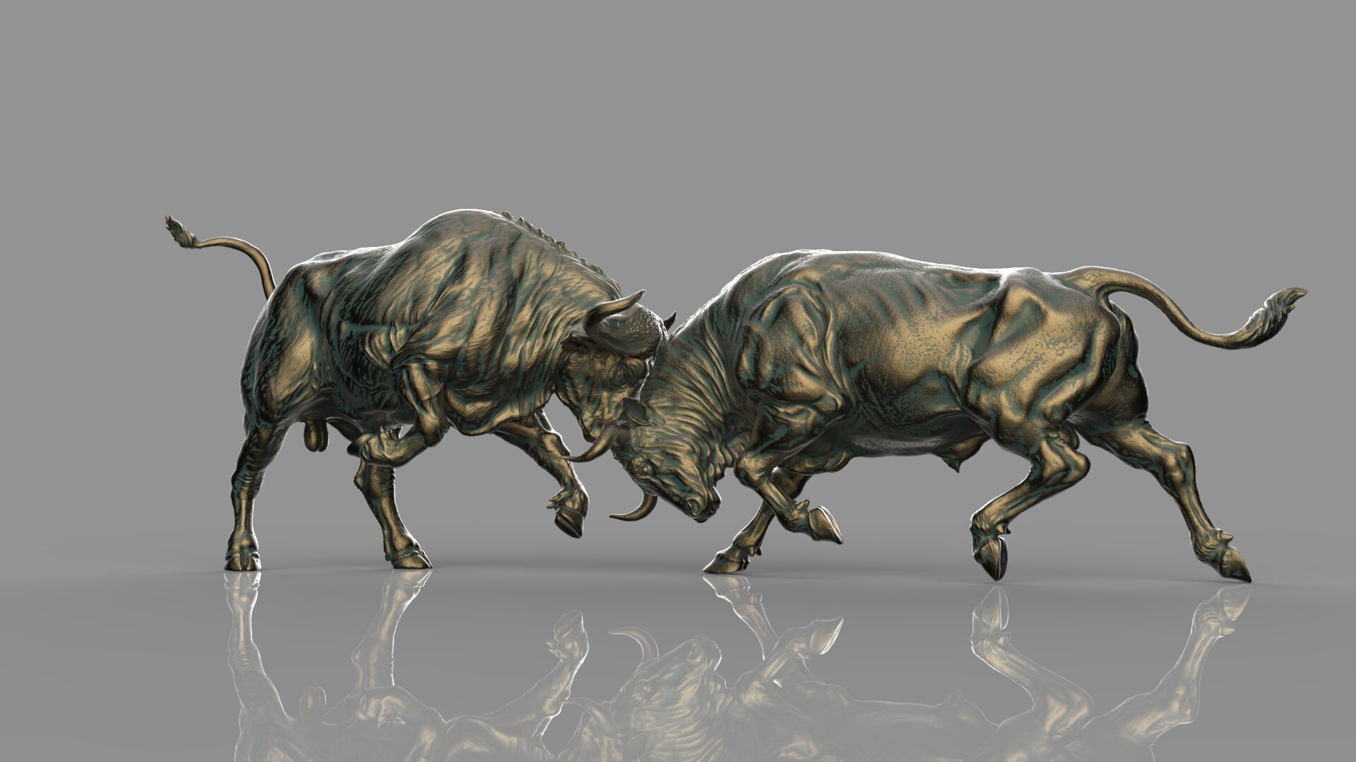 Bull Fight 3D model_8