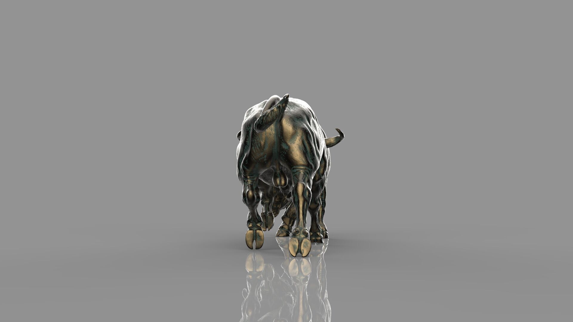 Bull Fight 3D model_11