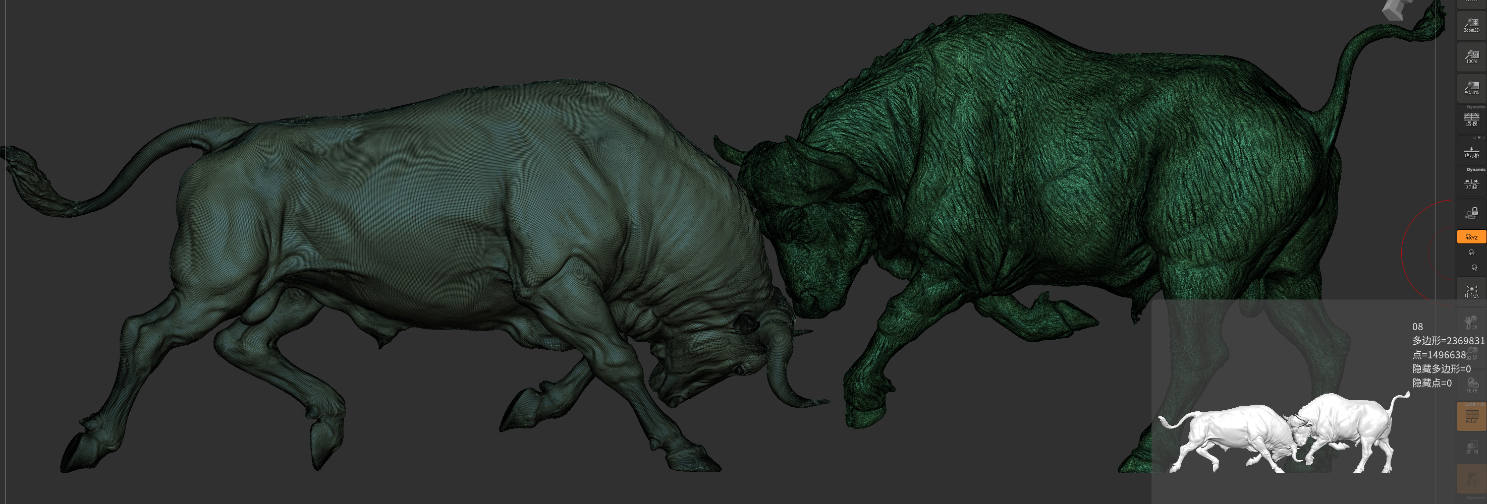 Bull Fight 3D model_32