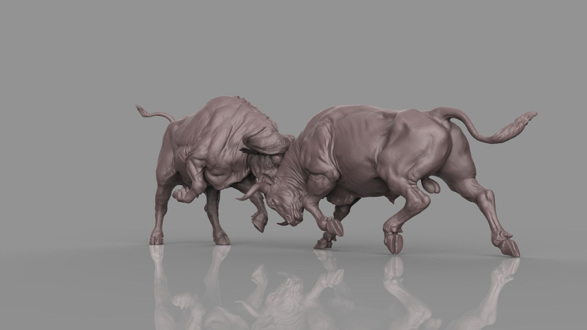 Bull Fight 3D model_26