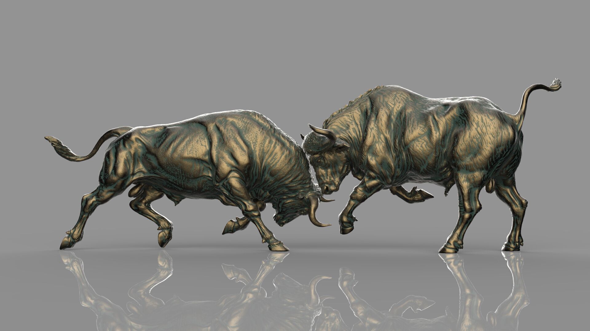 Bull Fight 3D model_15