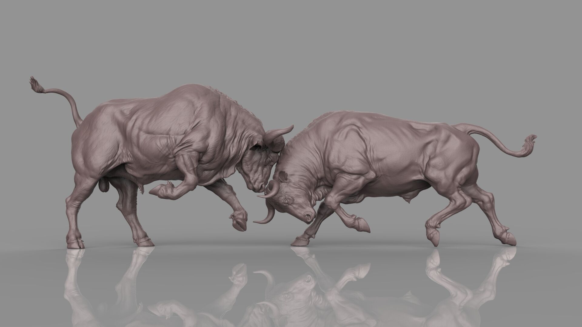 Bull Fight 3D model_16