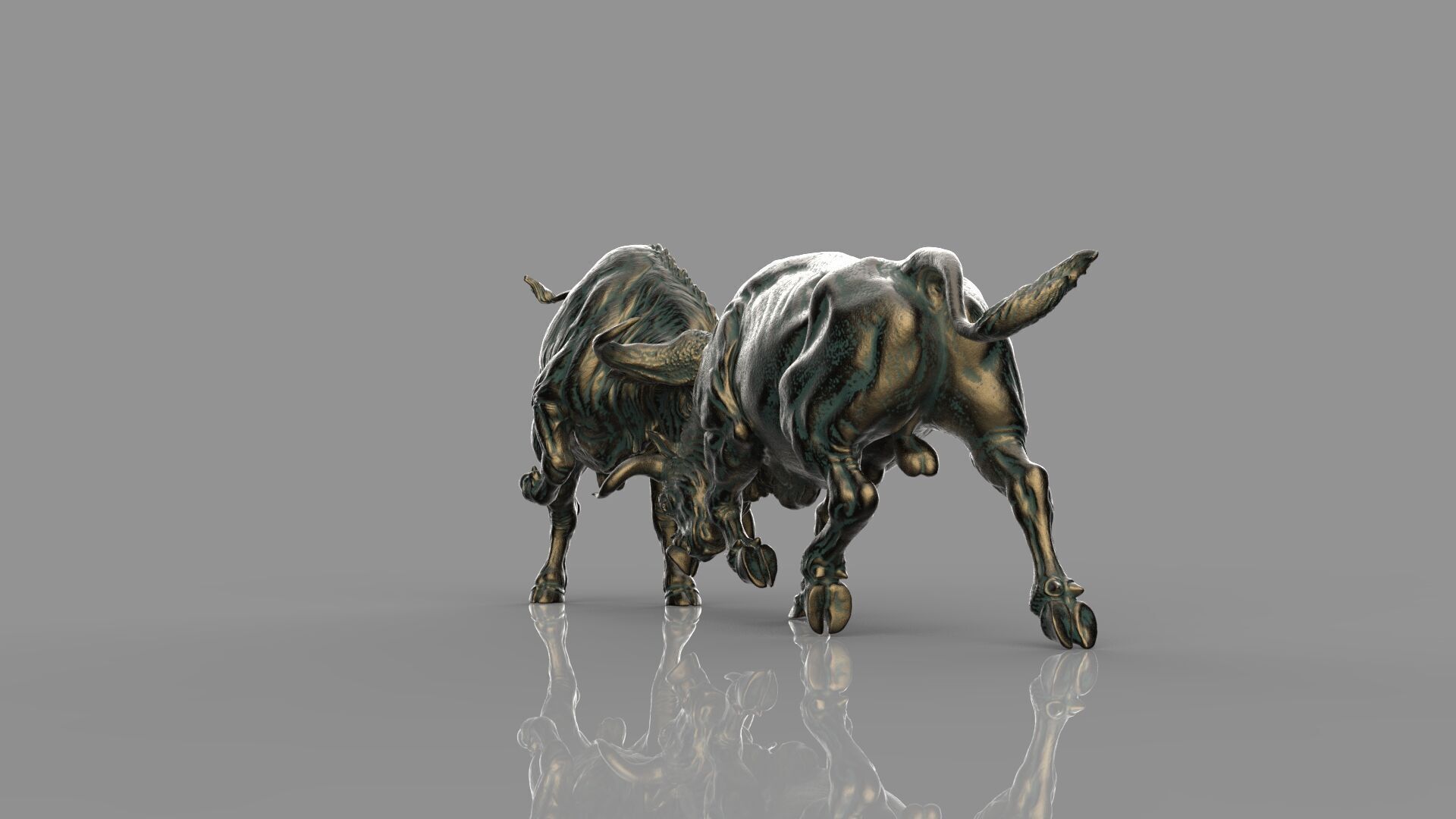 Bull Fight 3D model_10