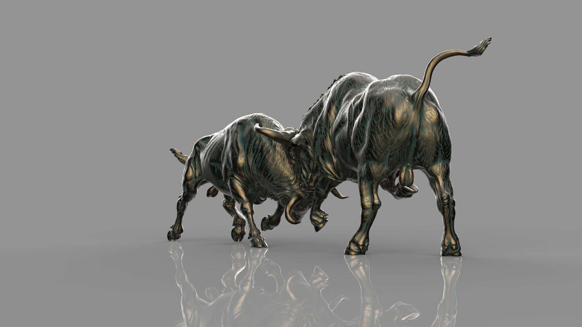 Bull Fight 3D model_2
