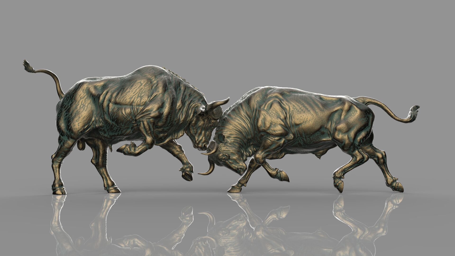 Bull Fight 3D model_7