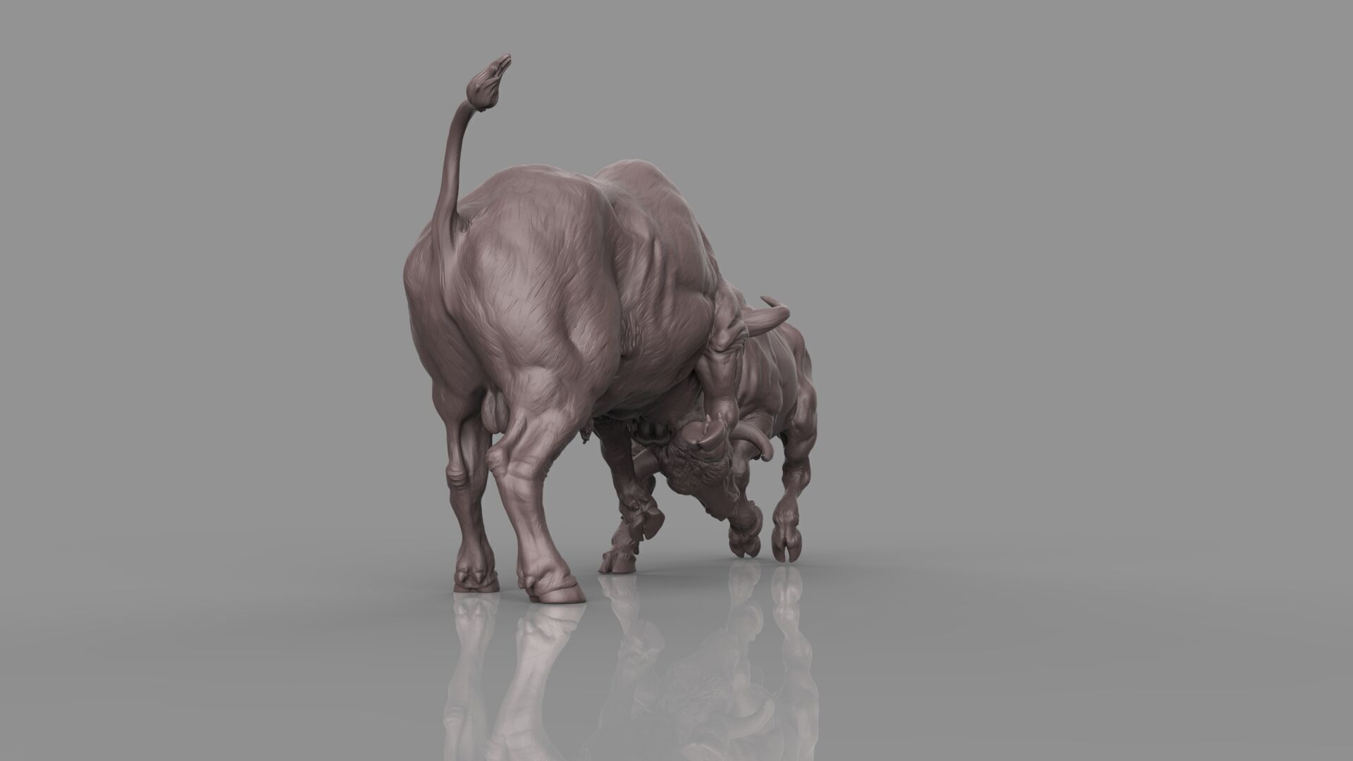 Bull Fight 3D model_21