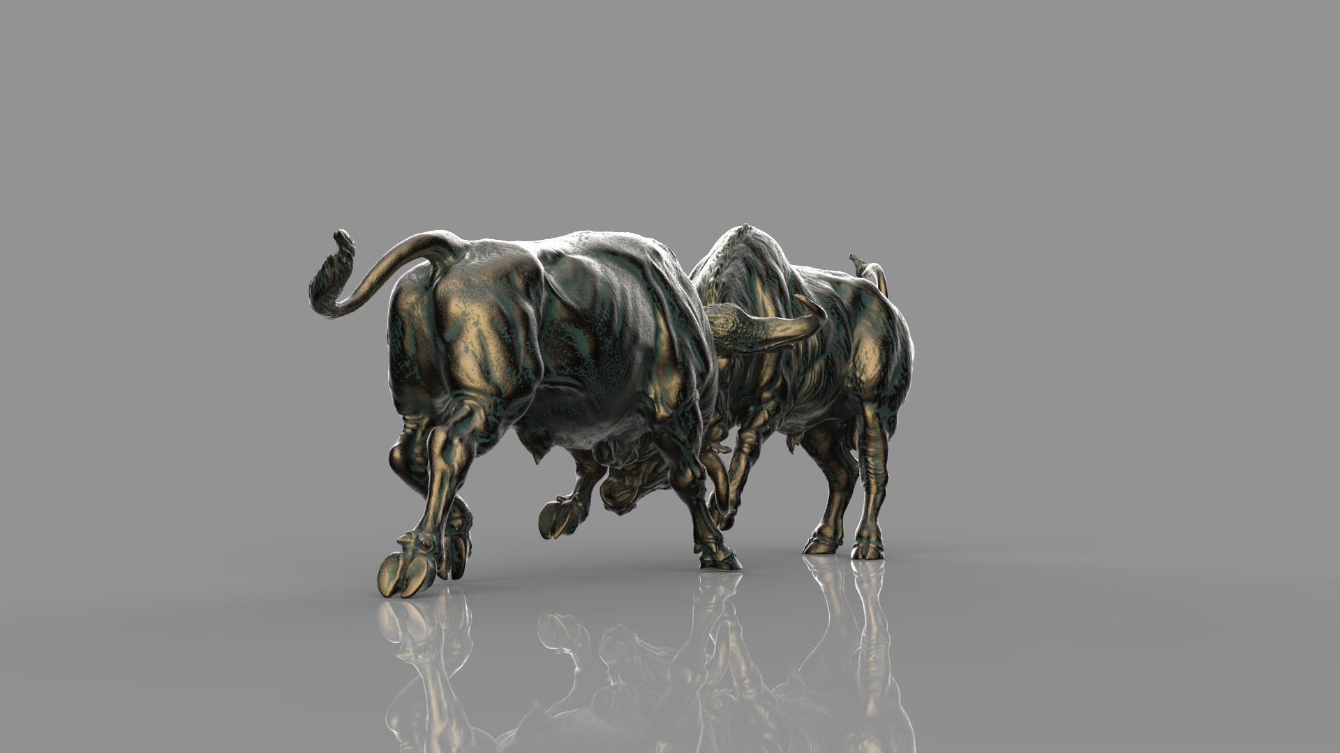 Bull Fight 3D model_12