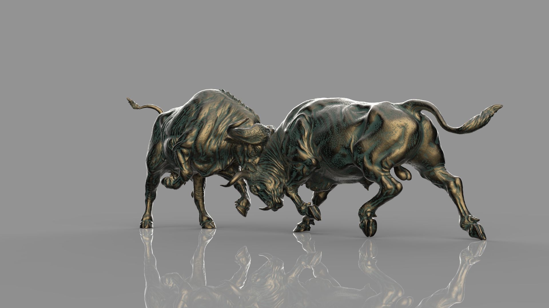 Bull Fight 3D model_9