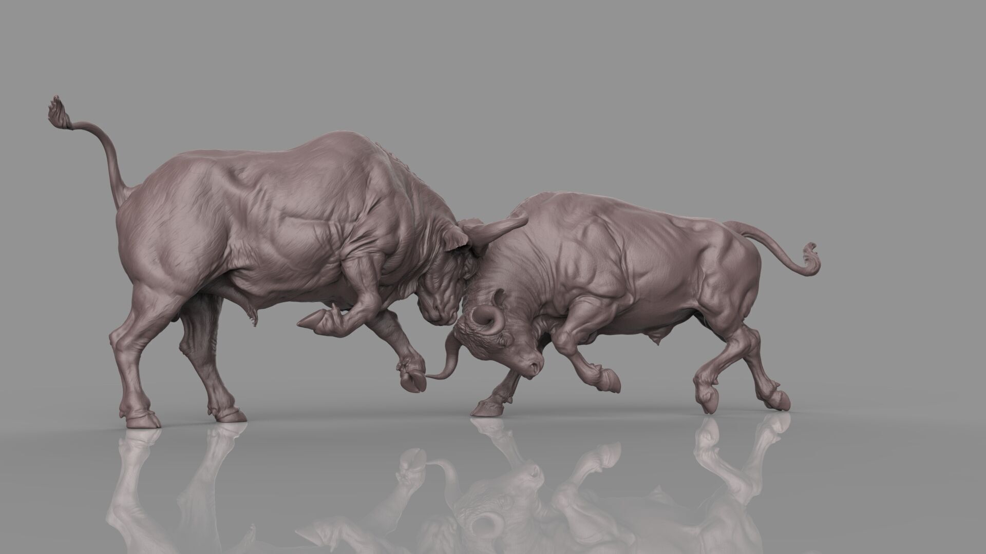 Bull Fight 3D model_23