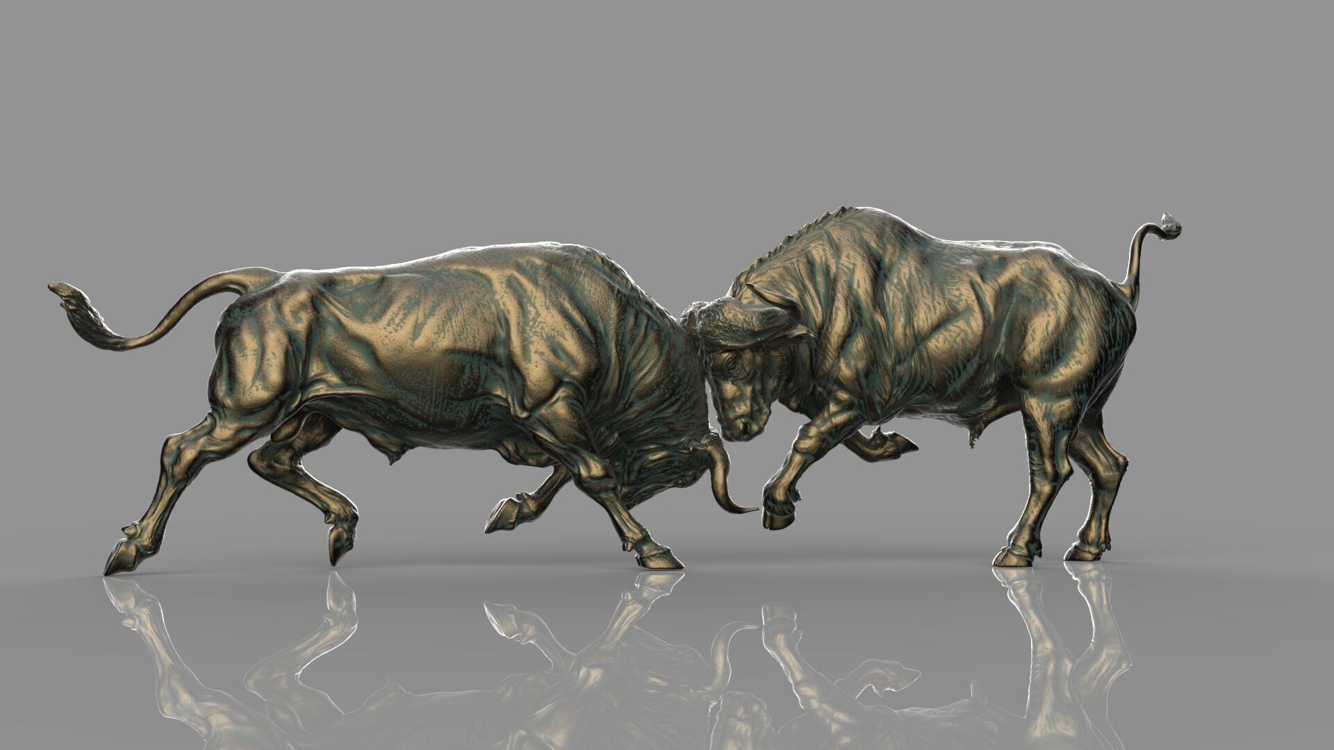 Bull Fight 3D model_14