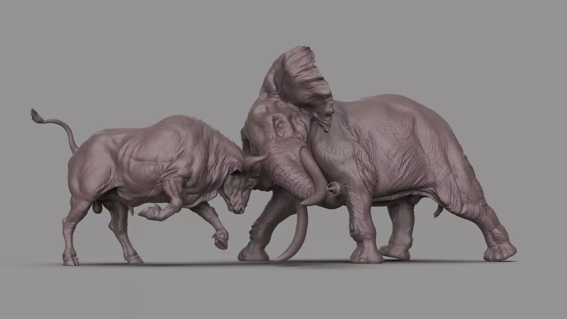 Bull elephant Fight 3D model_0