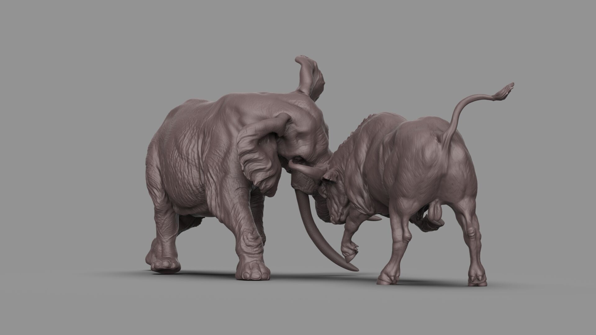 Bull elephant Fight 3D model_3