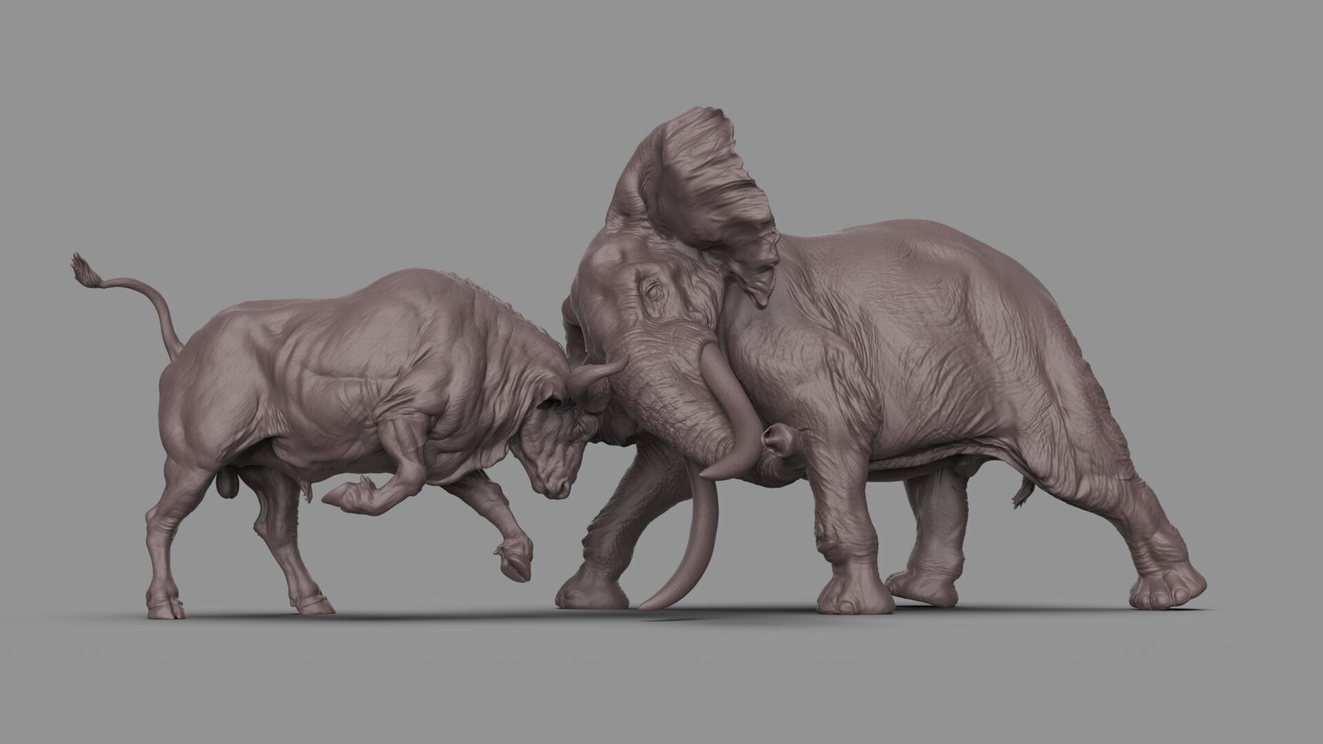 Bull elephant Fight 3D model_8
