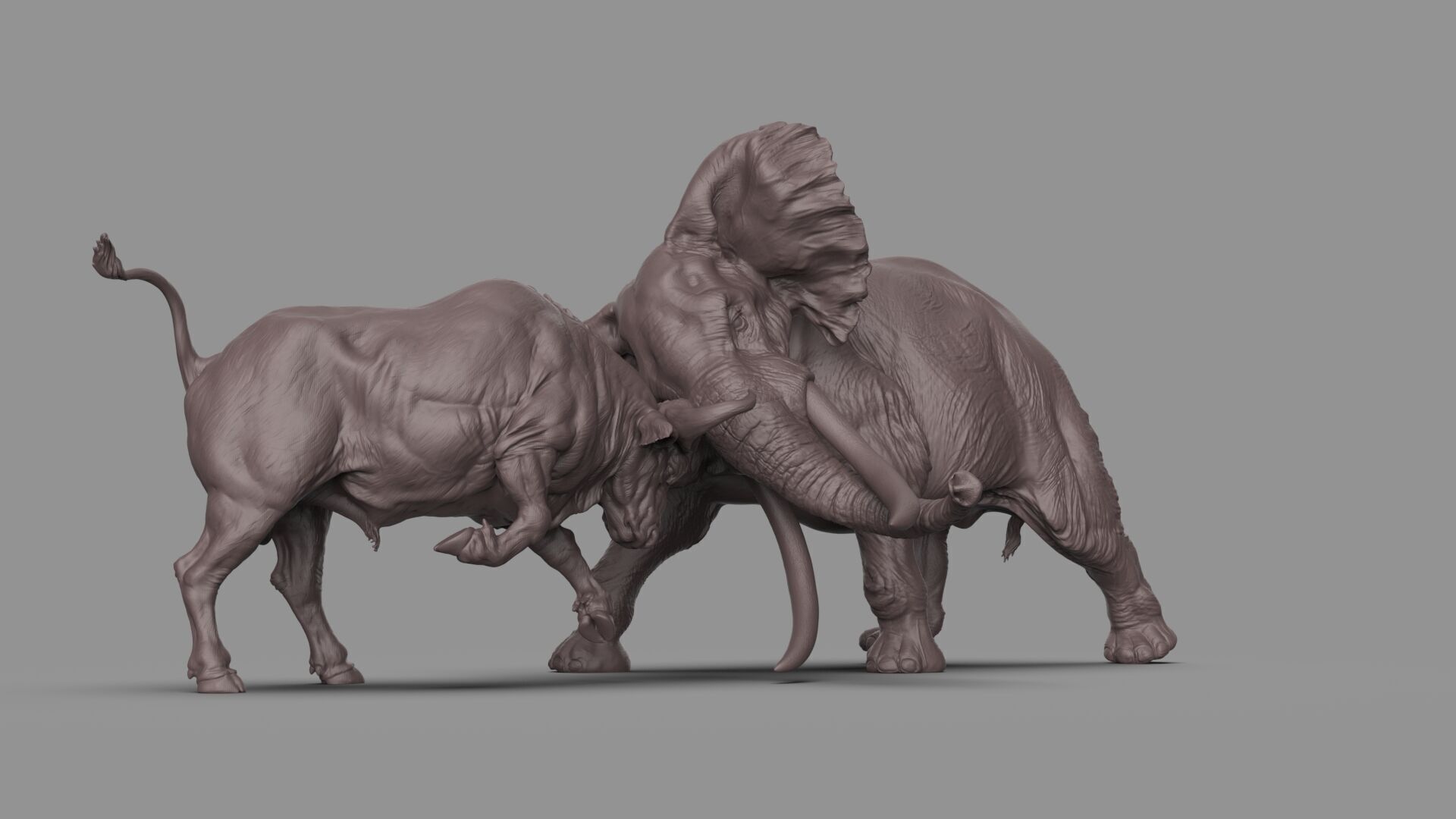 Bull elephant Fight 3D model_7