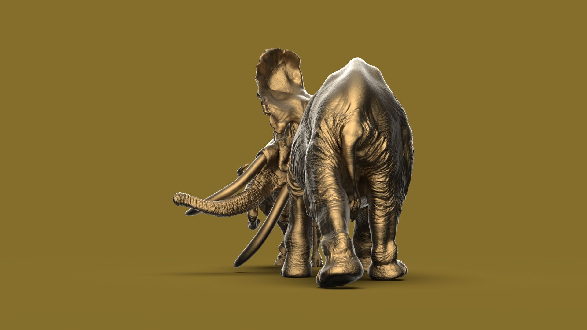 Bull elephant Fight 3D model_28