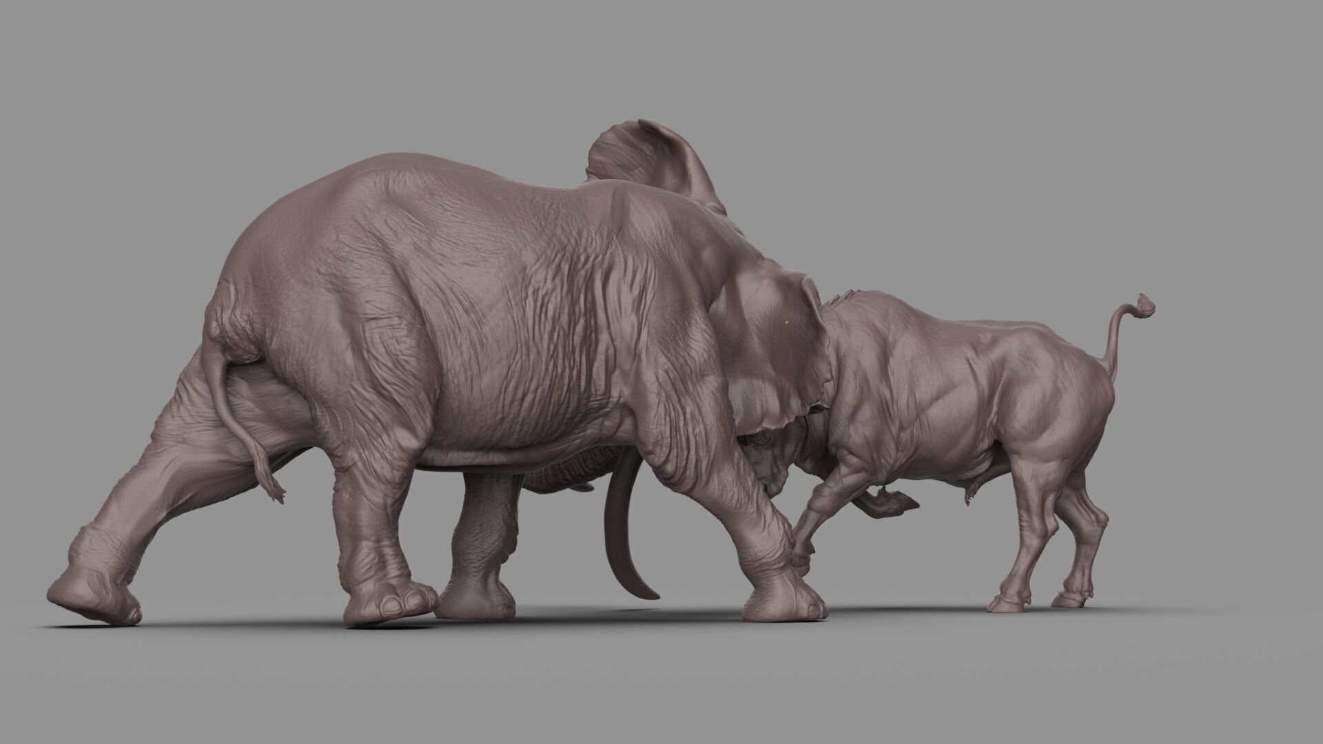 Bull elephant Fight 3D model_15