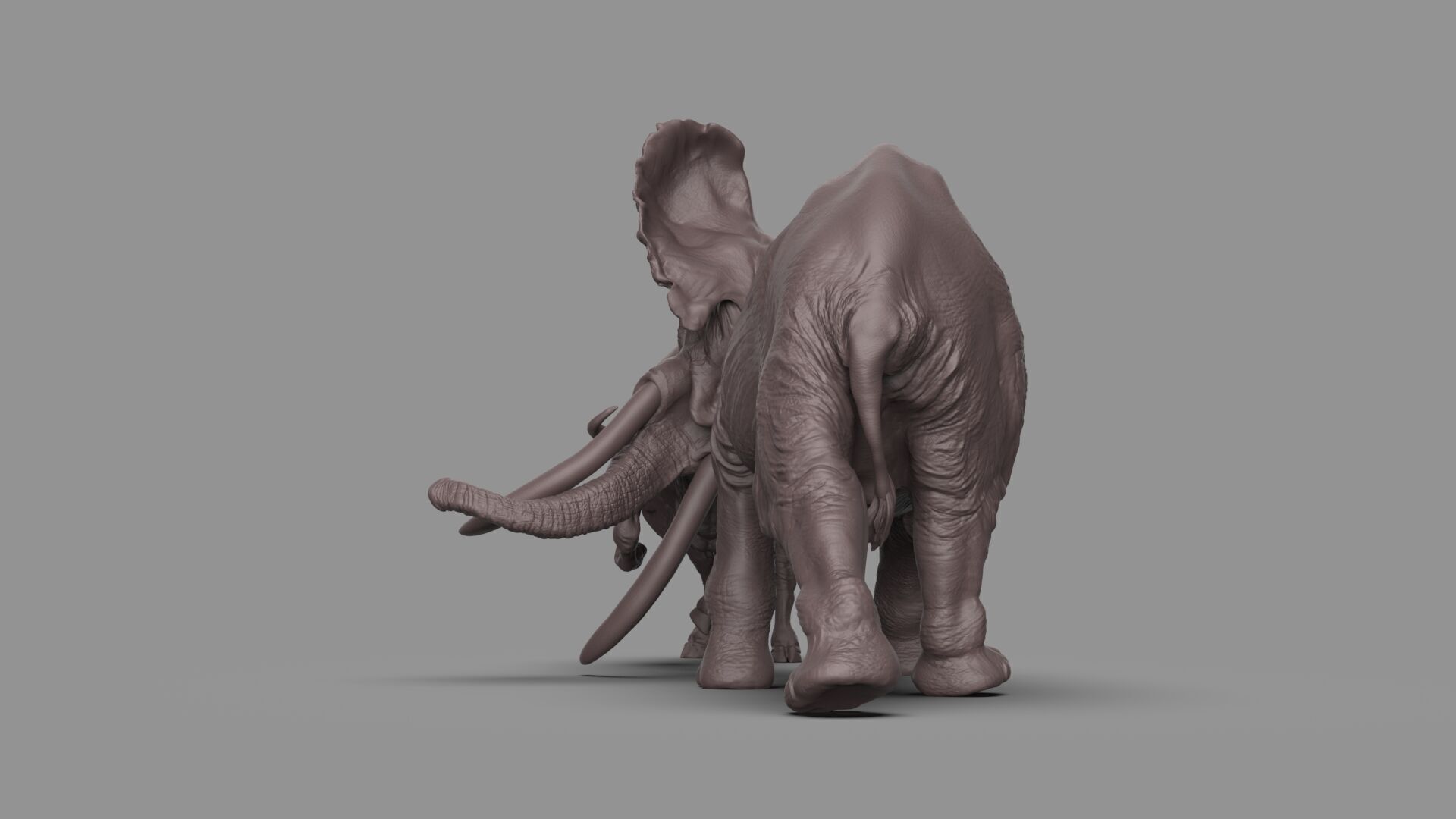 Bull elephant Fight 3D model_12