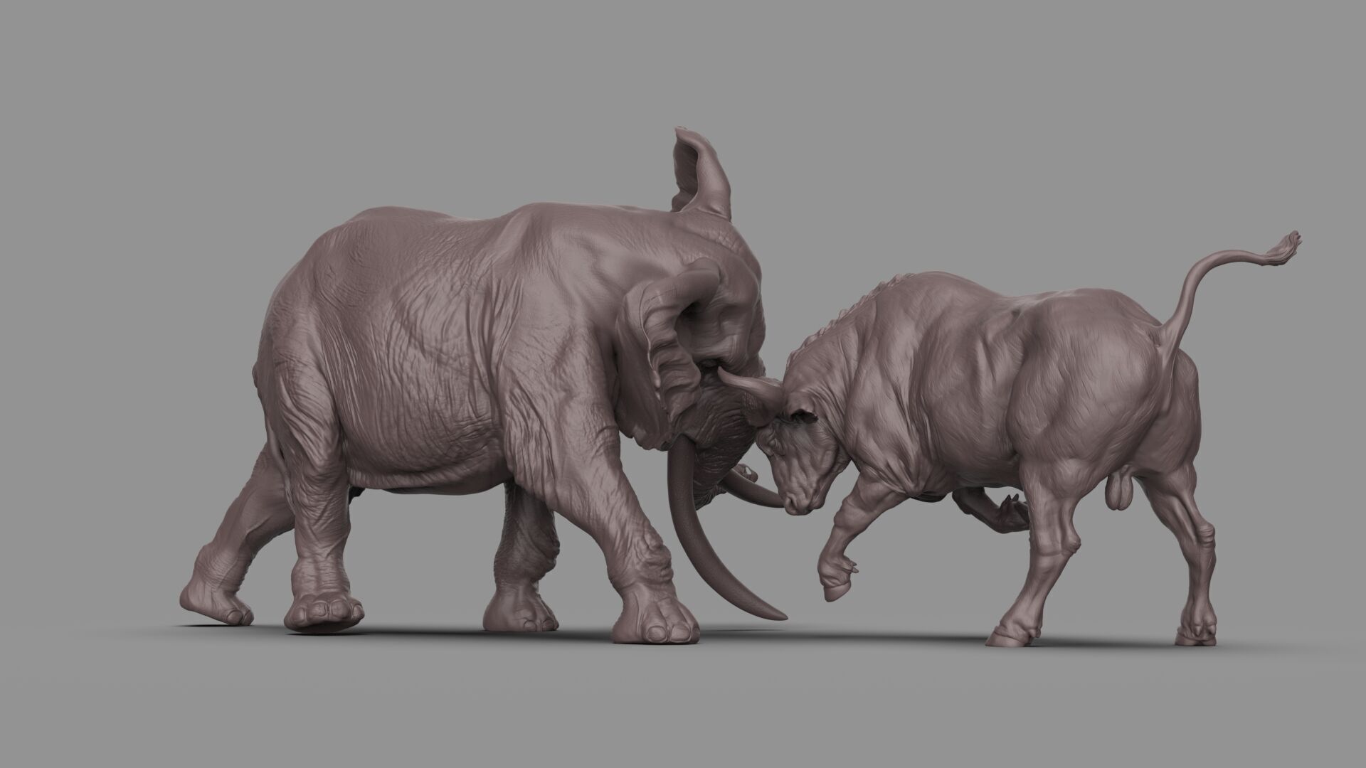 Bull elephant Fight 3D model_2