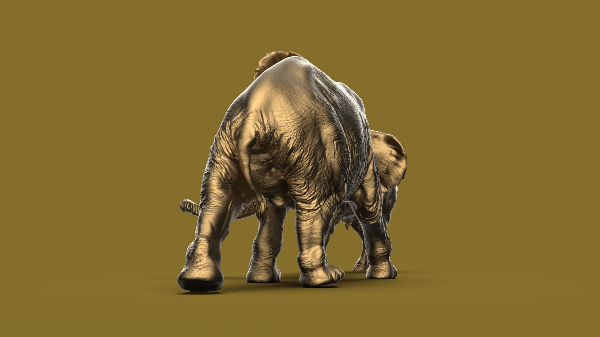 Bull elephant Fight 3D model_29
