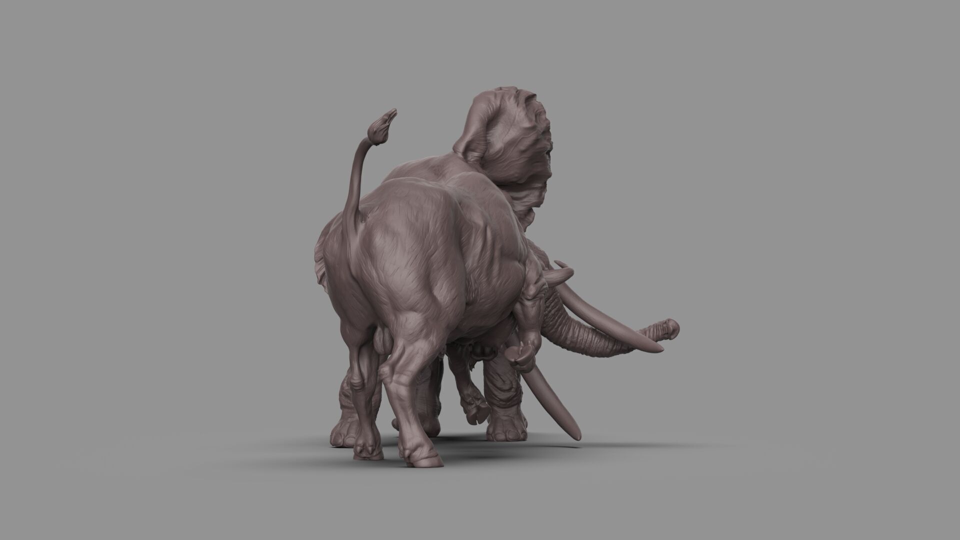 Bull elephant Fight 3D model_5
