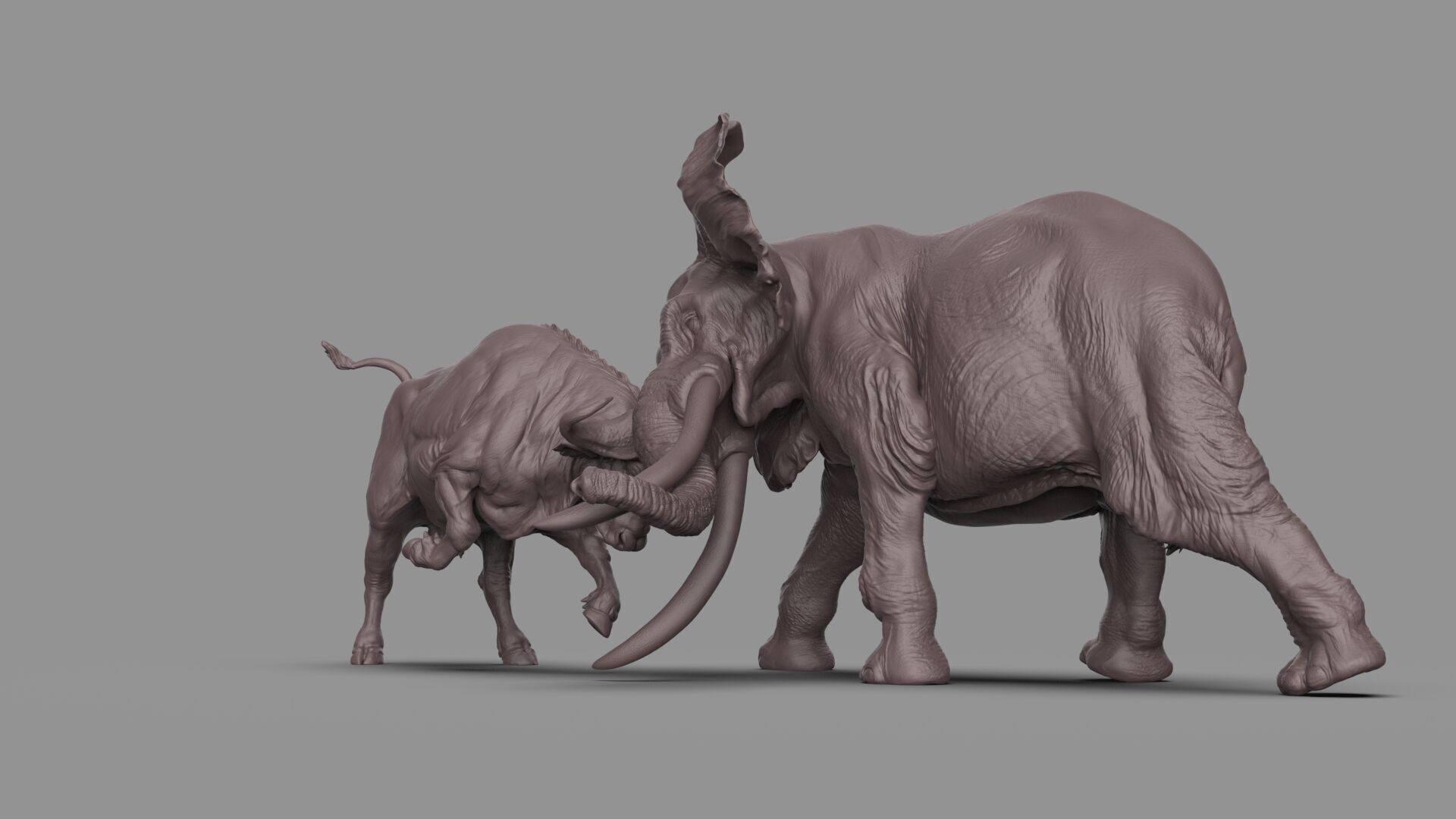 Bull elephant Fight 3D model_10