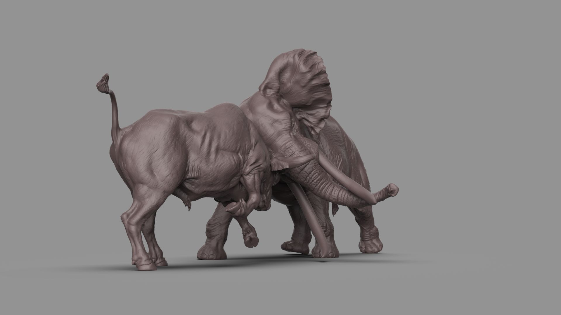 Bull elephant Fight 3D model_6