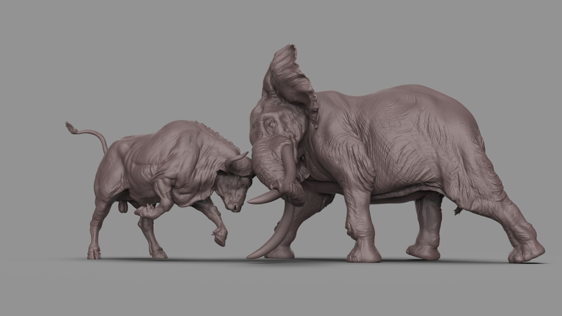 Bull elephant Fight 3D model_9