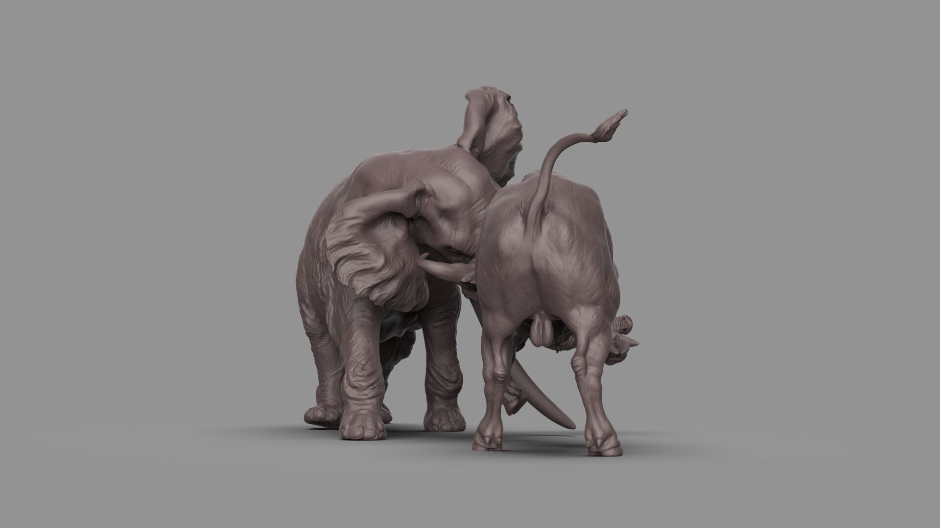 Bull elephant Fight 3D model_4